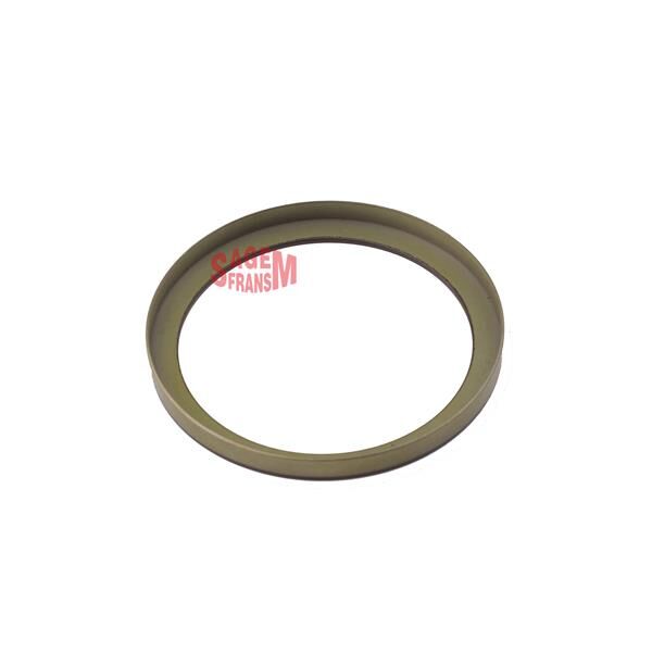 SAGEM 44104 ABS OKUYUCU HALKA ARKA RENAULT MEGANE II 02> MODUS 04> CLIO III 05>
