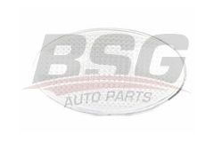 BSG BSG 30-810-019 TRANSIT/V-184 ÇAMURLUK SINYALI BEYAZ/93BG 13K354 AA