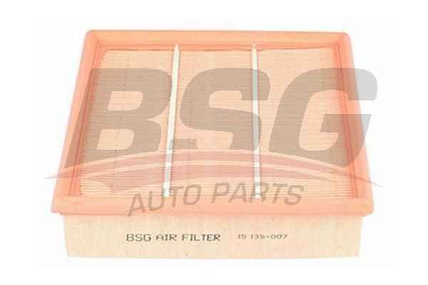 BSG BSG 15-135-007 E38/39/X5 HAVA FILTRESI