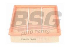 BSG BSG 15-135-007 E38/39/X5 HAVA FILTRESI