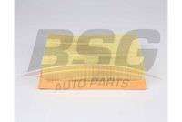 BSG BSG 15-135-020 LAND ROVER RANGE ROVER DISCOVERY III-IV SPORT HAVA FILTRESI C31196-LX 1764-E531L
