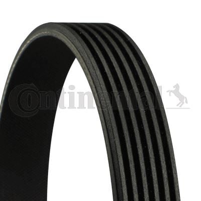 CONTI 6PK2245 KANALLI KAYIS MERCEDES DAEWOO FORD LEXUS MAZDA NISSAN SSANGYONG TOYOTA