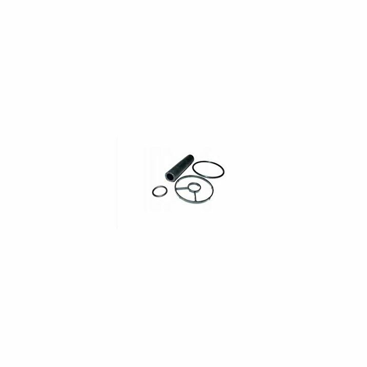 BSG BSG 30-116-197 FOCUS/3008/C5 YAG FILTRE CONTA TAKIM