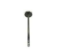 OE-OPEL 96463002 AVEO T250 T255 SPARK M300 SUBAP EMME