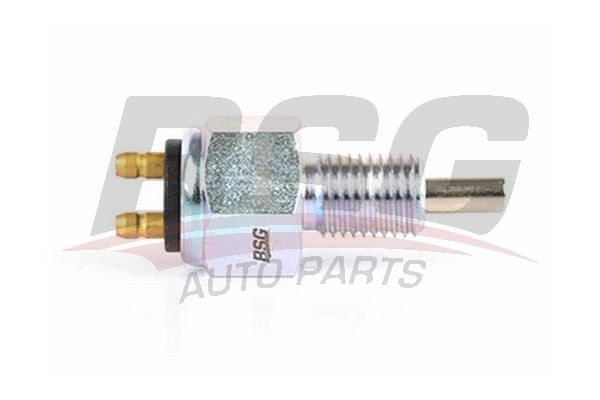 BSG BSG 30-840-013 TAUNUS GERI VITES MÜSÜRÜ