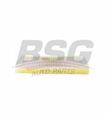 BSG BSG 15-145-016 E36 POLEN FILTRESI KARBONSUZ