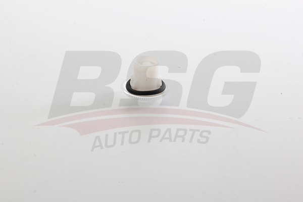 BSG BSG 30-810-045 CONNECT ÇAMURLUK SINYALI BEYAZ / 4T16 13K376 AA