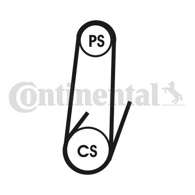 CONTI 4PK1022ELAST KANALLI KAYIŞ PALIO-ALBEA-DOBLO-LINEA-STRADA 1.3 JTD-MTIJET 04 > ELAST