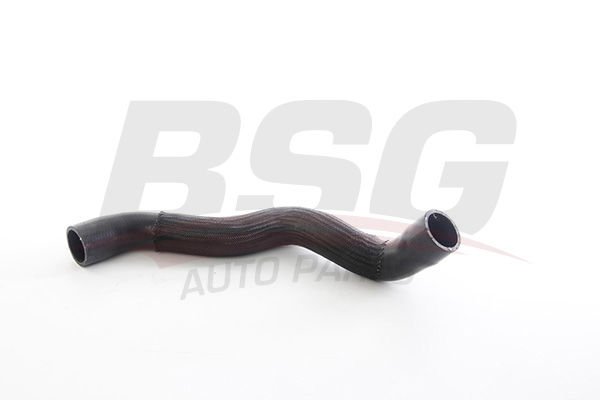 BSG BSG 60-720-370 W210 RADYATÖR HORTUMU ALT