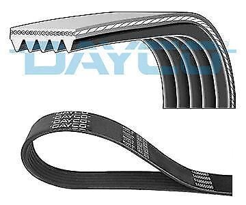 DAYCO 5PK1320 KANALLI KAYIŞ FERRARI 456 MITSUBSUBISHI 25 2.7 12V 84-89 2.8 12V 86-92