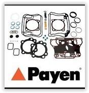 PAYEN DW712 ÜST TAKIM CONTA ALFA 145 2.0 98-01 146 156 2.0 T.S 98-00 166 2.0 98-00 GTV 2.0 98-00 SPIDER 2.0 98-0