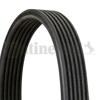 CONTI 6DPK1195 KANALLI KAYIŞ ÇİFT KANALLI PAS YM BORA GOLF IV-POLO 68381D