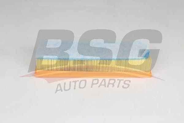 BSG BSG 15-135-021 5-F10 LCI -F11 LCI- X3-F25-X4-F26-X5 F15 dx HAVA FILTRESI C34120-LX 4084-E1171L