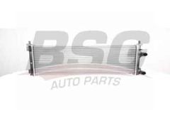 BSG BSG 25-520-002 DOBLO SU RADYATÖRÜ MEKANIK 700X304X42