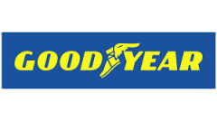 GDY 801029 GOODYEAR VOLKSWAGEN POLO HAVA FİLTRESİ 1,0 TSİ (2005-2011) OE: 04C129620A