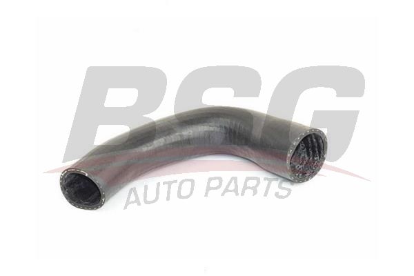 BSG BSG 25-720-033 DOBLO III TURBO HORTUMU (TEK HORTUM)
