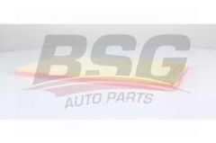 BSG BSG 90-135-049 POLO-IBIZA-FABIA-A1 HAVA FILTRESI E1163L
