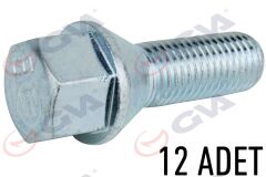 GVA 8810124 BİJON CİVATASI RENAULT MEGANE-CLIO Y.M. PAKET 12 FEBİ 49873