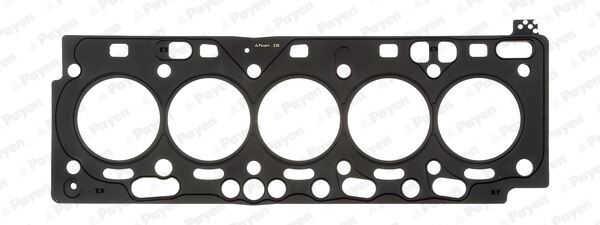 PAYEN AH7230 SKC 1.10 mm VOLVO S60 II-S80-V60-V70 III-XC70 II-SC60 10 > D 5244 T10 / T14 / T16