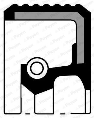 PAYEN NF825 AKS KEÇESİ SAĞ PEUGEOT P307-P308-P407-P408-P2008-P3008-PARTNER-BOXER CITROEN C3-C4-C5-XSARA-BERLINGO 32x50x10mm
