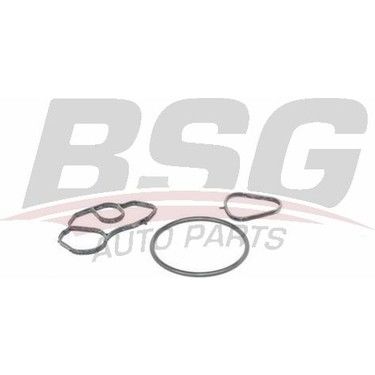 BSG BSG 70-116-001 207/208/308 YAG FILTRESI CONTA TAKIMI EP6