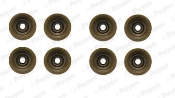 PAYEN HR5051 SUPAP LASTIGI TK. LAND ROVER FREELANDER I 20T2N L314 8 LI
