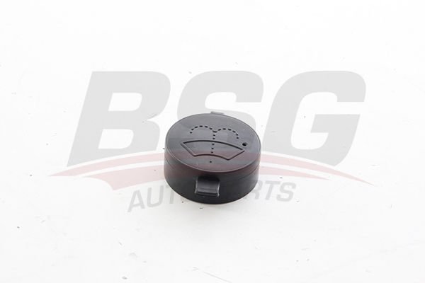 BSG BSG 25-551-005 TEMPRA/TIPO/UNO/MAREA YEDEK SU DEPO KAPAGI