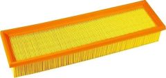 BSG BSG 70-135-004 206/206+/307/C4 HAVA FILTRESI