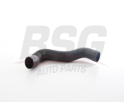 BSG BSG 25-720-069 DUCATO III TURBO HORTUMU