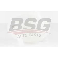 BSG BSG 90-550-009 POLO-CORDOBA-FABIA RADYATÖR YEDEK SU DEPOSU GENLESME KABI
