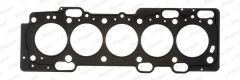 PAYEN AE5260 SKC 1 DELİK VOLVO S40 2.4D5 06-10 S60 2.4D D5 01-10 S80 2.4D D5 01-11 C30 06-12 C70 2.4D D5 V50 2.4TDİ D5 06-10 V70 01-09 XC60 D5 08-09 XC70 2.4D5 01-07 D4 07-16 XC90 D3 D5 02-2014