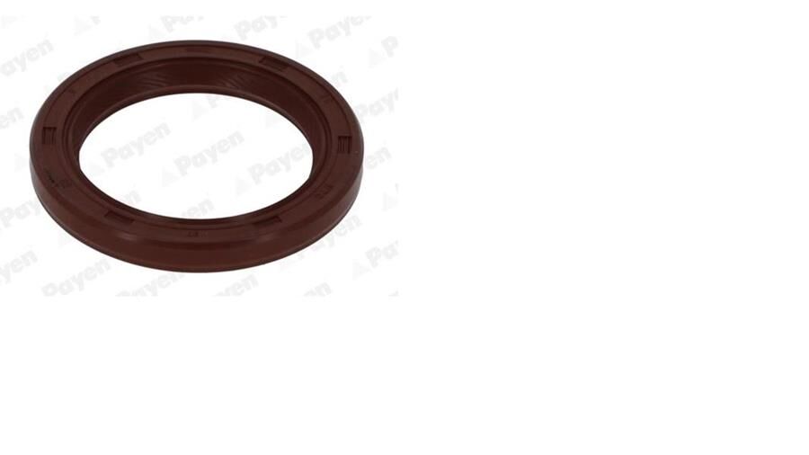 PAYEN NA5157 KRANK MILI YAG KECESI ON LAND ROVER FREELANDER 2 204PT L359 . FORD MONDEO FOCUS