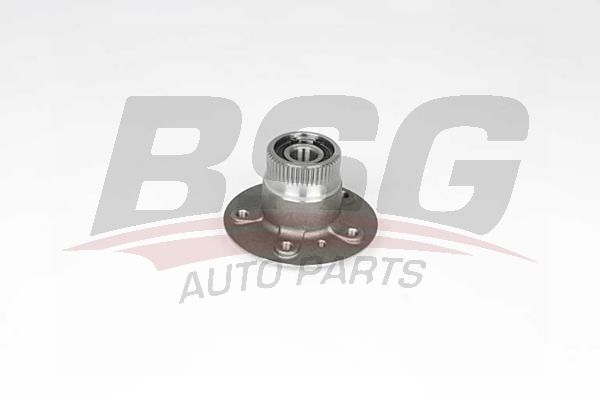 BSG BSG 60-600-013 168 PORYA ARKA RULMANLI KOMPLE