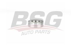 BSG BSG 15-605-031 F30-F30 LCI-F31-F31 LCI-F34 GT-F35-F35 LCI-4F32-F32 LCI-F33- F33 LCI-F36 GRAN COUPE dx-ix TEKER RULMANI ARKA PORYASIZ