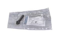 OE-OPEL 55562190 CORSA D CORSA E ASTRA J INSIGNIA A MOKKA MERIVA B PISTON KOL CIVATASI M8X38