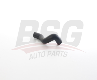 BSG BSG 25-720-160 M131-DKS TERMOSTAT HORTUMU