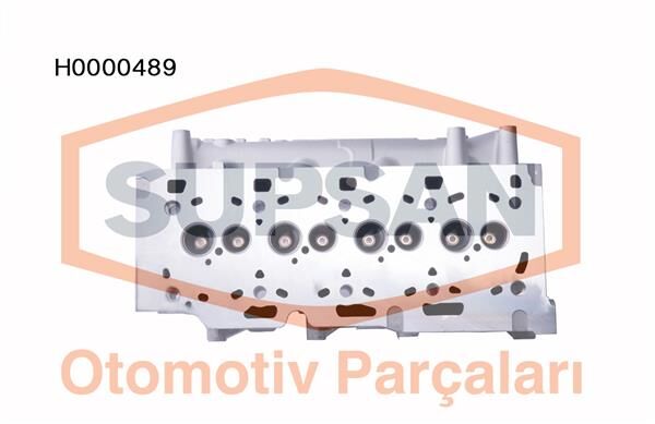 SUPSAN H0000489 SİLİNDİR KAPAĞI CLIO III 05> MEGANE III 09> SCENIC 09> LATITUDE 10> FLUENCE 09> 1.5dCi k9k KISA TİP ENJEKTÖR