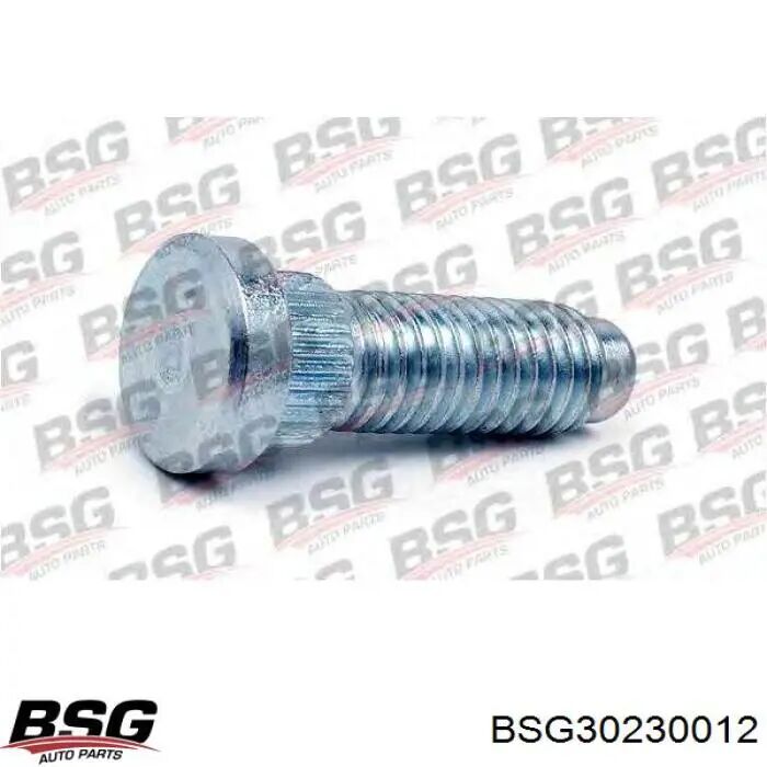 BSG BSG 30-230-012 TRANSIT M15 BIJON ÖN SOMUNSUZ