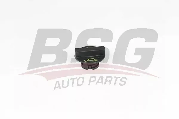 BSG BSG 30-700-502 FOCUS/V-347 / V-363/CONNECT/PSA MOTOR YAG KAPAGI